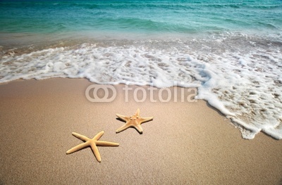 two starfish on a beach
