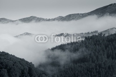 Niebla en el parque natural del Gorbea, Alava, España