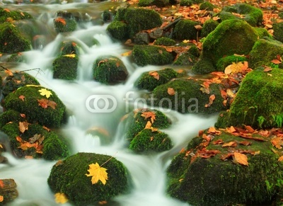 Waterfall in autumn from Turkey