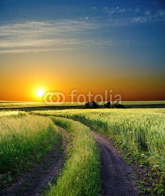sunset over rural road