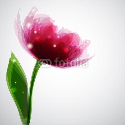 Sfondo con fiore trasparente - Transparent flower background