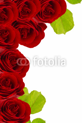 Ornament of red roses and leaves