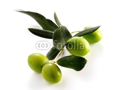 FOUR OLIVES ON BRANCH WITH LEAVES