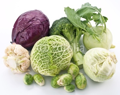 Collection of different varieties of cabbage.