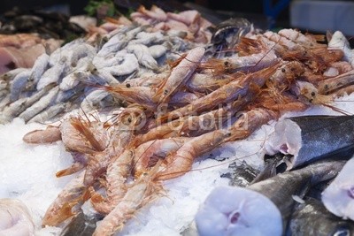 fresh shrimps fish market