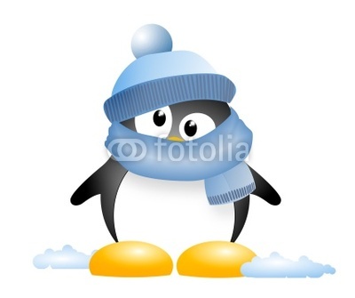 pinguino winter2