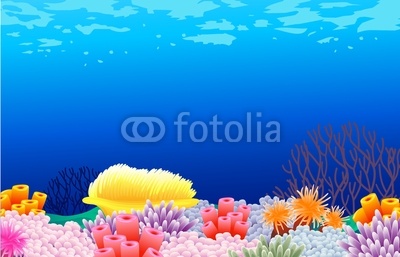 beautiful corals background