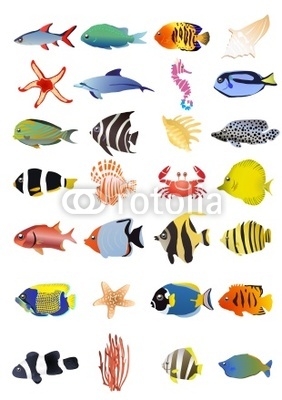 Collection of marine animals, vector illustration