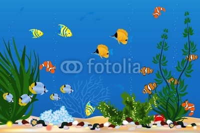 Aquarium with beautiful tropical fishes
