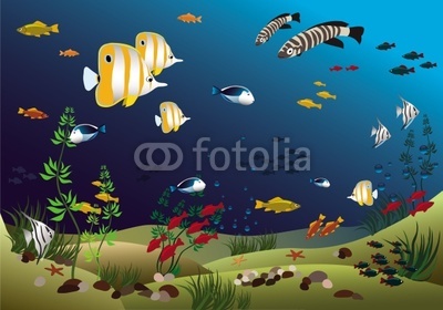 Ocean with beautiful tropical fishes