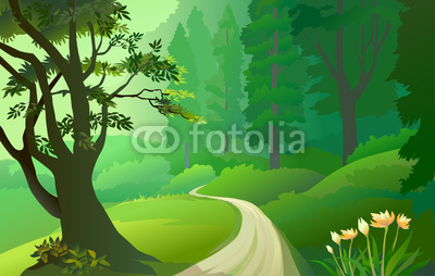 Green Amazon Forest With Lonely Pathway