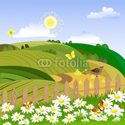 Rural landscape with a fence