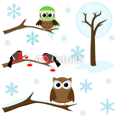 Winter set -  birds on branches, tree and snowflakes