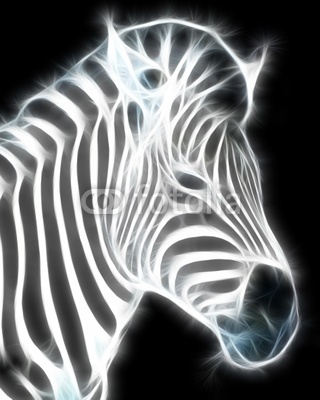 Fractal Zebra Illustration