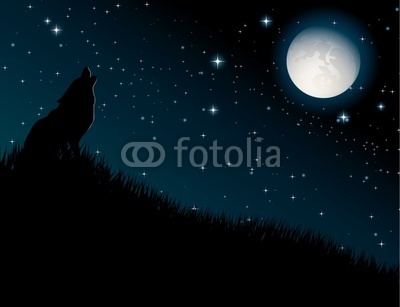 Wolf howling at the moon on night background