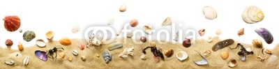 Sand und Muscheln Dekoration