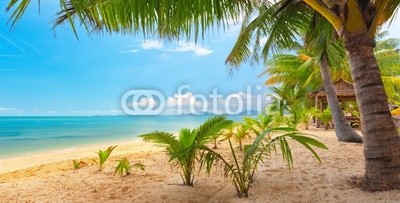 tropical beach. Koh Samui, Thailand, Maenam beach