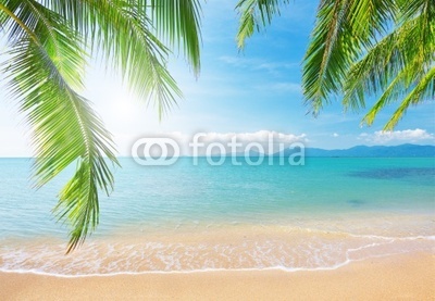 Palm and tropical beach
