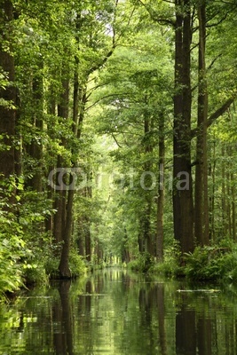 Spreewald 4