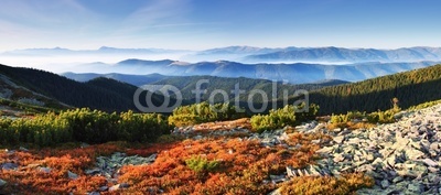 autumn in mountain