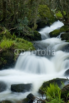 cornwall stream