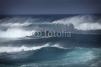 Windsurfer