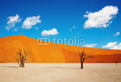 Namib Desert, Sossusvlei, Namibia