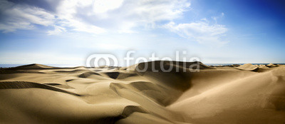 Gold desert into the sunset.