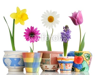 Colorful spring flowers in fun ceramic containers