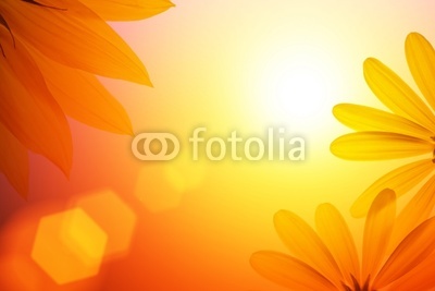 Sunshine background with sunflower details