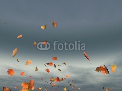 feuillage d'automne