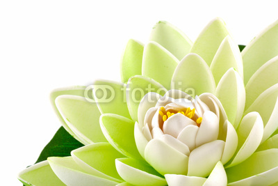 fleur artificielle nénuphar blanc