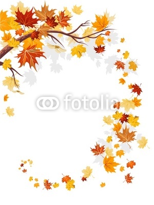 Maple leaves swirl