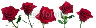 five roses