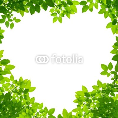 Green Leaves in heart shape on white background