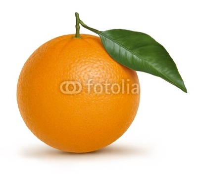 Orange illustration