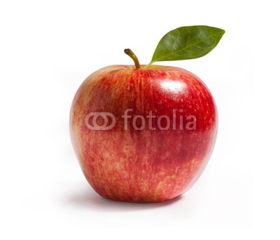 rayal gala apple on white