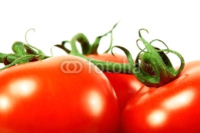 isolated tomato