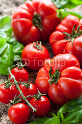 fresh tomatoes