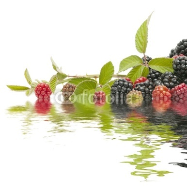 reflection of berries