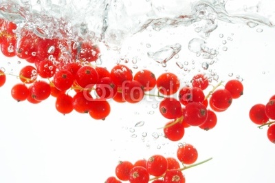 diving red currants