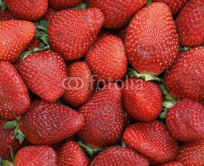 fondo y textura de fresas