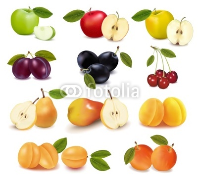 Group with different sorts of fruit. Vector.