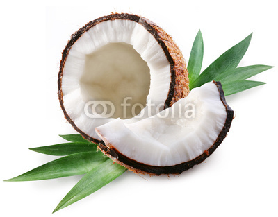 coconut on a white background