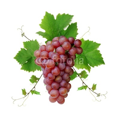 Decorative pink wine grape