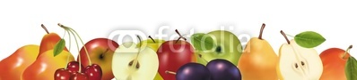 Fruit design border isolated on white. Vector.