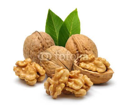 walnut and leaves