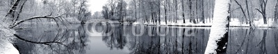 Lake in winter panorama