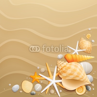 Shells and starfishes on sand background