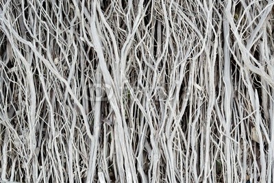 Dried twigs striped wood texture pattern background wallpaper